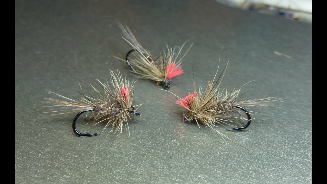 ORL tag rouge (oreille de lièvre tag rouge)