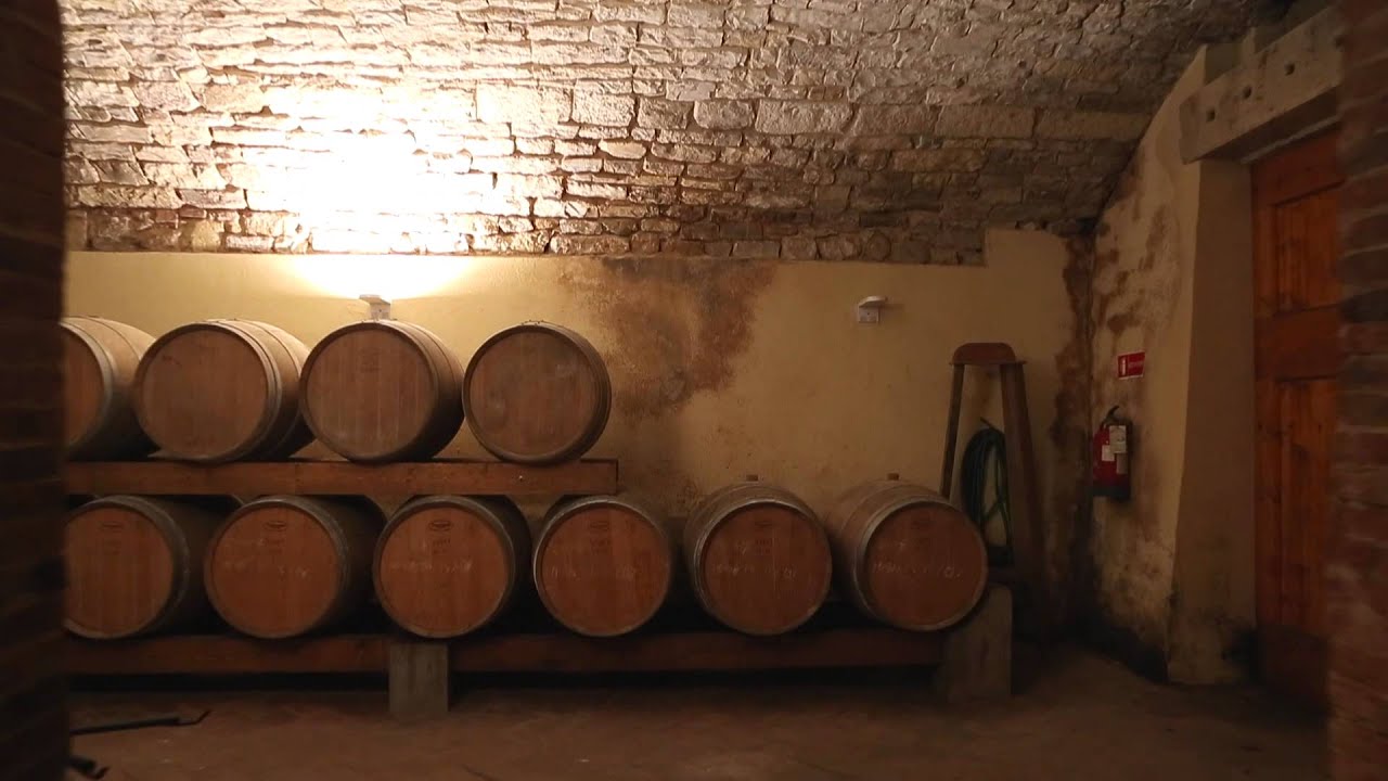 Tenuta Branca - Tuscany