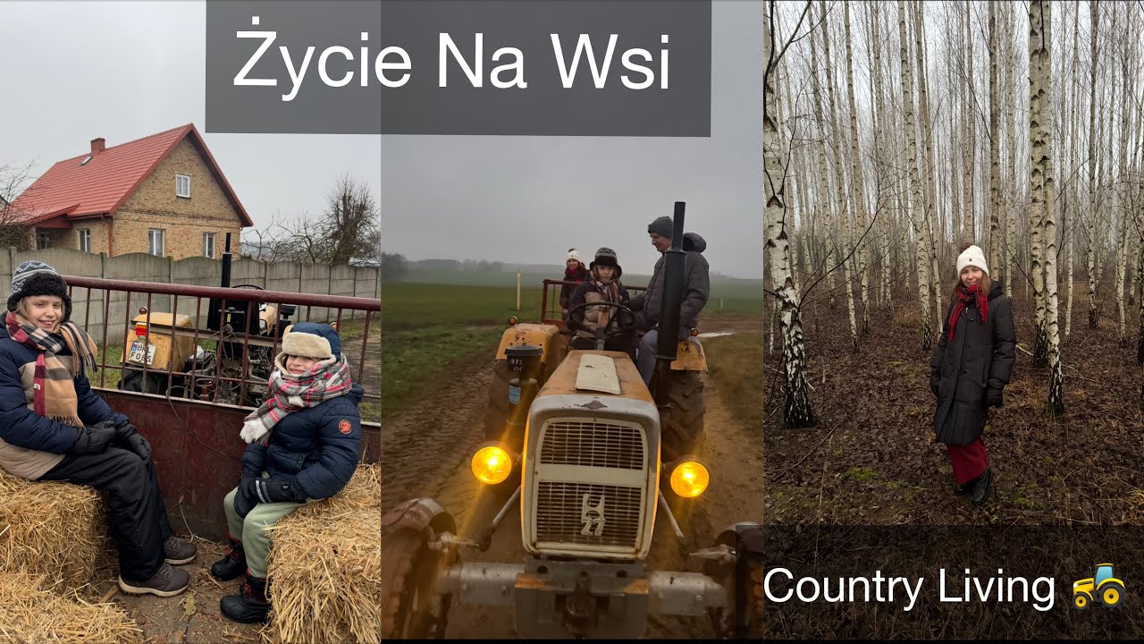 🚜 WOLNE ŻYCIE NA WSI | JAZDA TRAKTOREM PO POLU | LAS BRZOZOWY DAJE ENERGIĘ | PRACE W OGRODZIE | VLOG