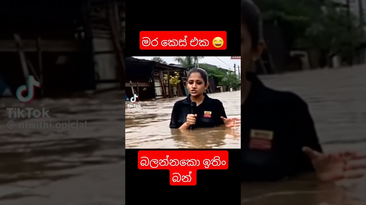 අනෙ aI 😄 #sinhala #automobile #abelbirhanuየወይኗ #sinhalacomedy #funny #sinhalafunny #love #joks