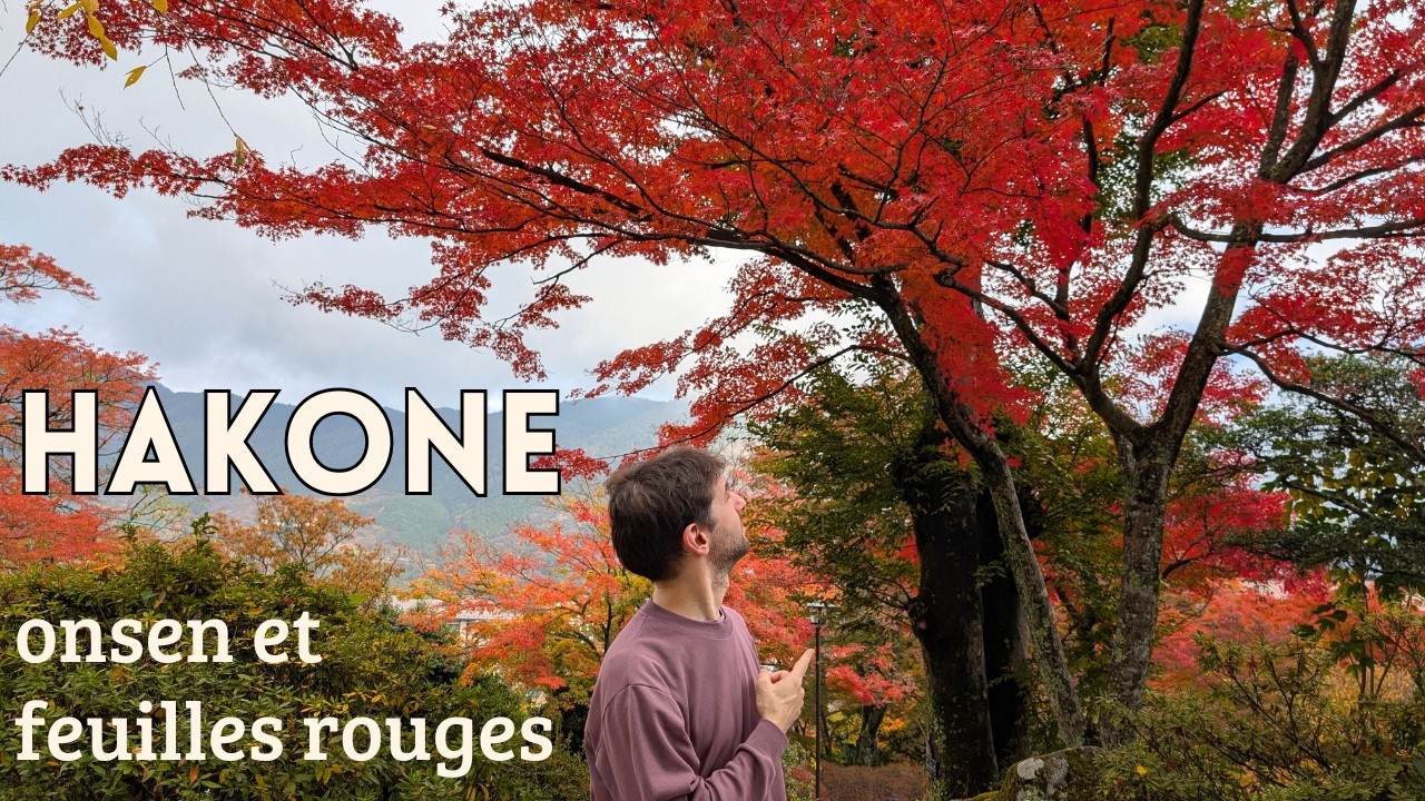 Superbe balade à Hakone en novembre : hôtel avec onsen privé et couleurs d'automne !