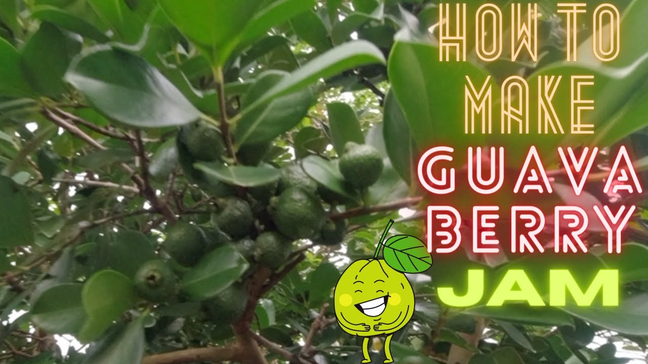 How To Make Guava Berry Jelly