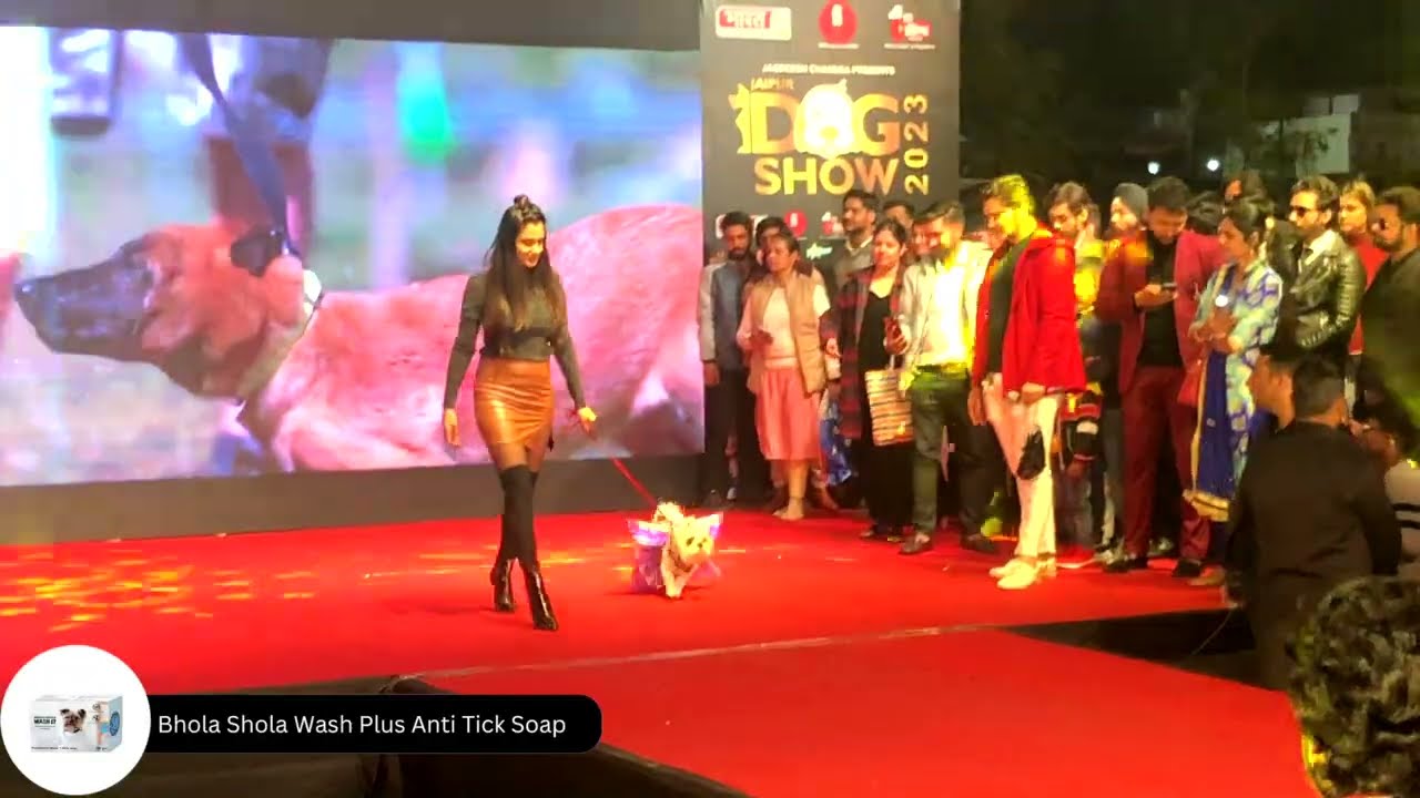 Dog Fashion 2022-23 KCI Show in Jaipur