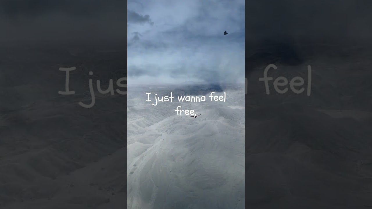 FREE LIKE AN EAGLE