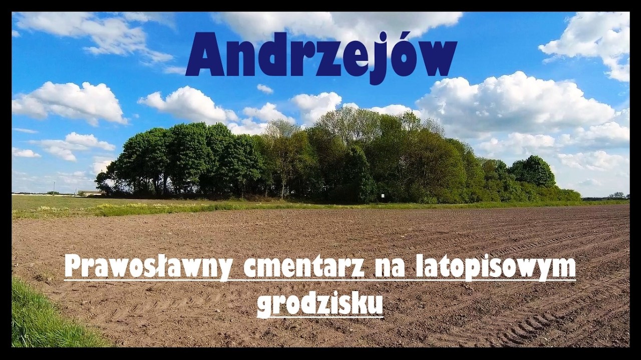 Andrzejów (Nowy) - Polesie - grodzisko i ulokowany na nim dawny prawosławny cmentarz. Gm. Urszulin.