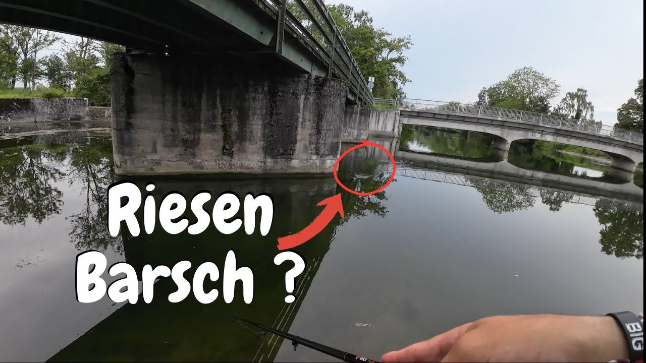 Fangen wir den Riesenbarsch ? / Spinnangel Vlog #1
