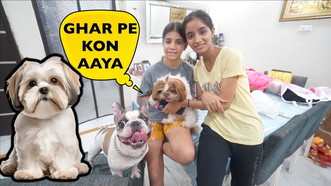 Maggie Ab Hamare Paas Rahegi 😍 NEW DOG ?