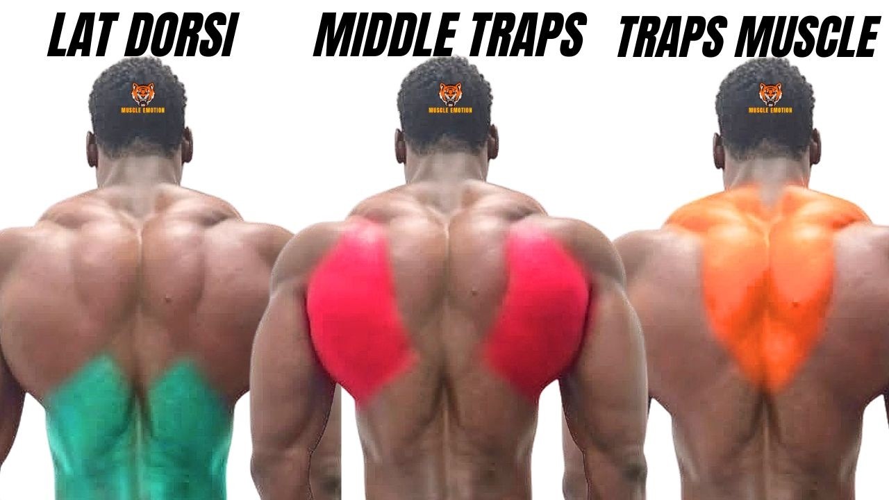 The best back exercises you're not doing, yet you'll regret it if you don't watch them