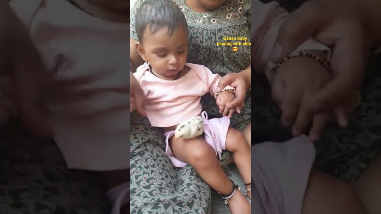 My baby gahan playing with chick #shorts #funny #viral #baby #trending #love #youtubeshorts #youtube