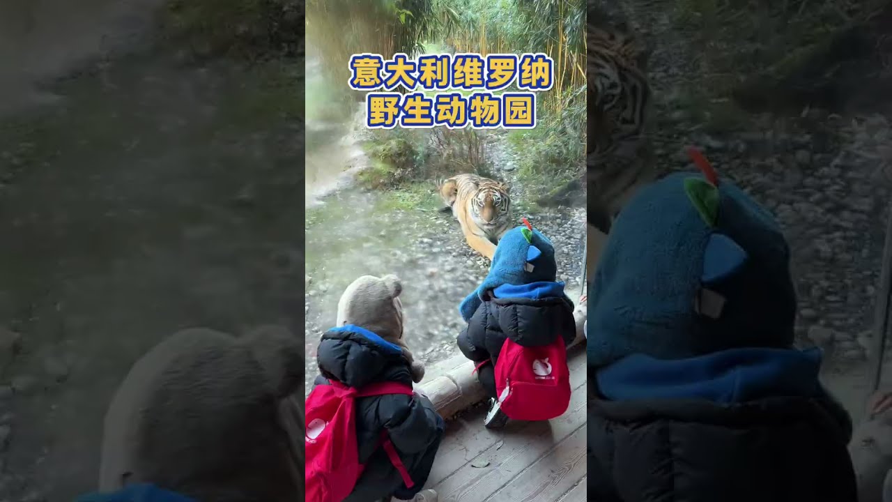 今年第四次来了，本以为会无聊，没想到还有点小惊喜