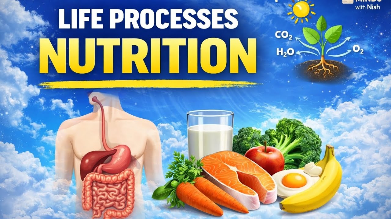 JKSSB Forest InspectorGeneral Science- Lecture 1 Life Processes ( Nutrition)