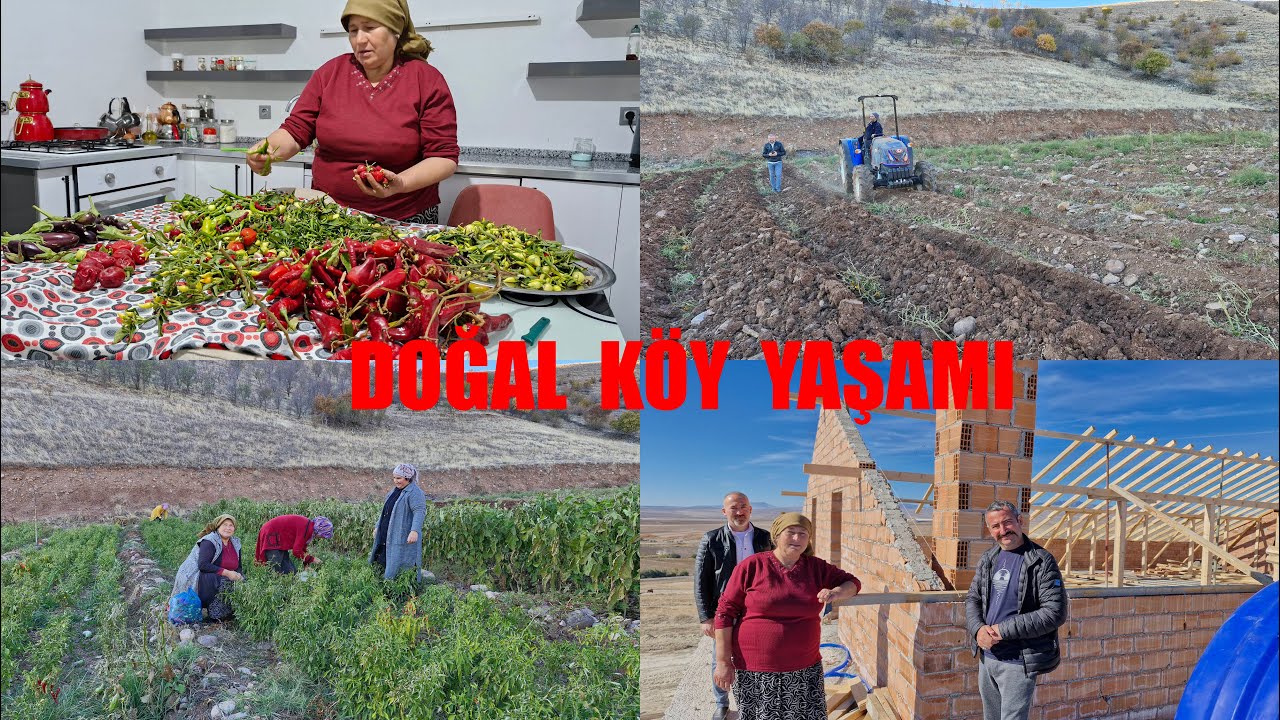 AKRABAMIZIN BAHÇE BAZUMU HASATI BEREKETLİ VE KADEŞLERİMLE İNŞAATI GEZİYORUZ