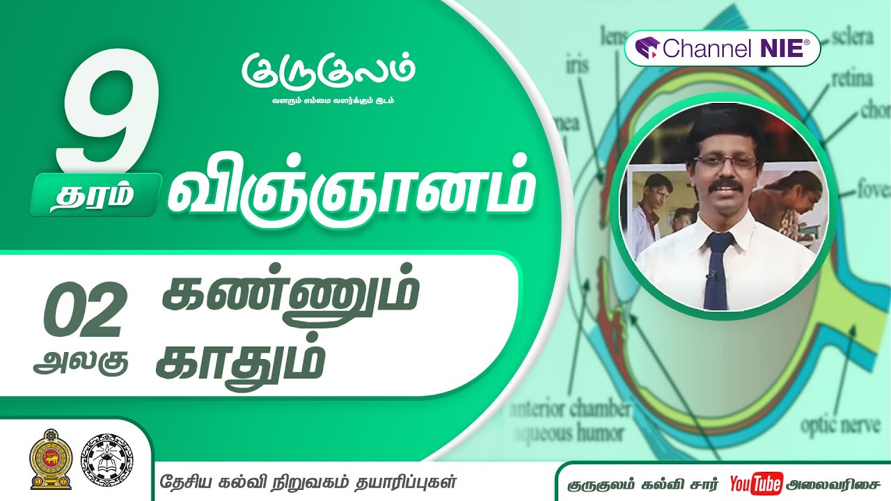 கண்ணும் காதும் | அலகு 02 | தரம் 9 | Science  | விஞ்ஞானம் | P 02