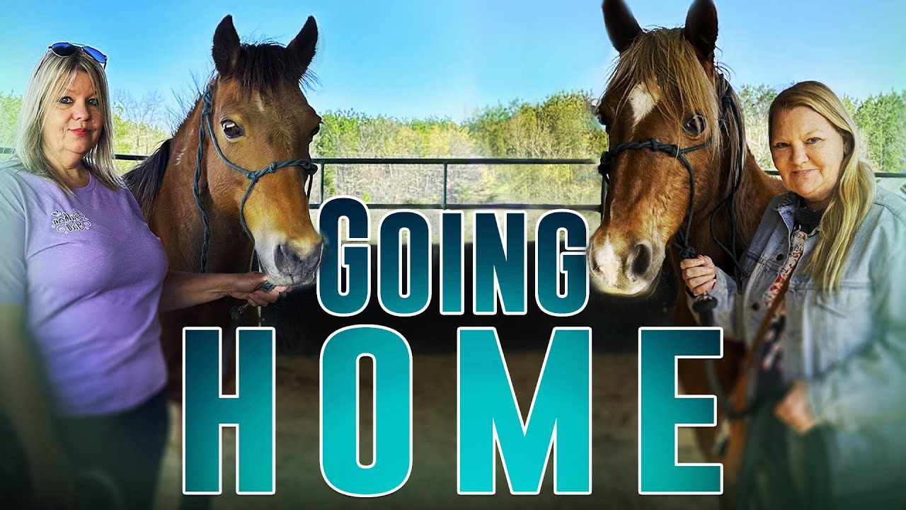 Going Home - Horse Shelter Heroes S4E8