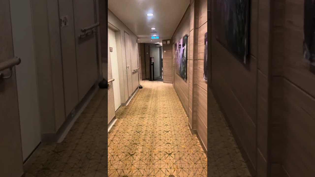 Anthem of the Seas Vitality Spa tour 🥰