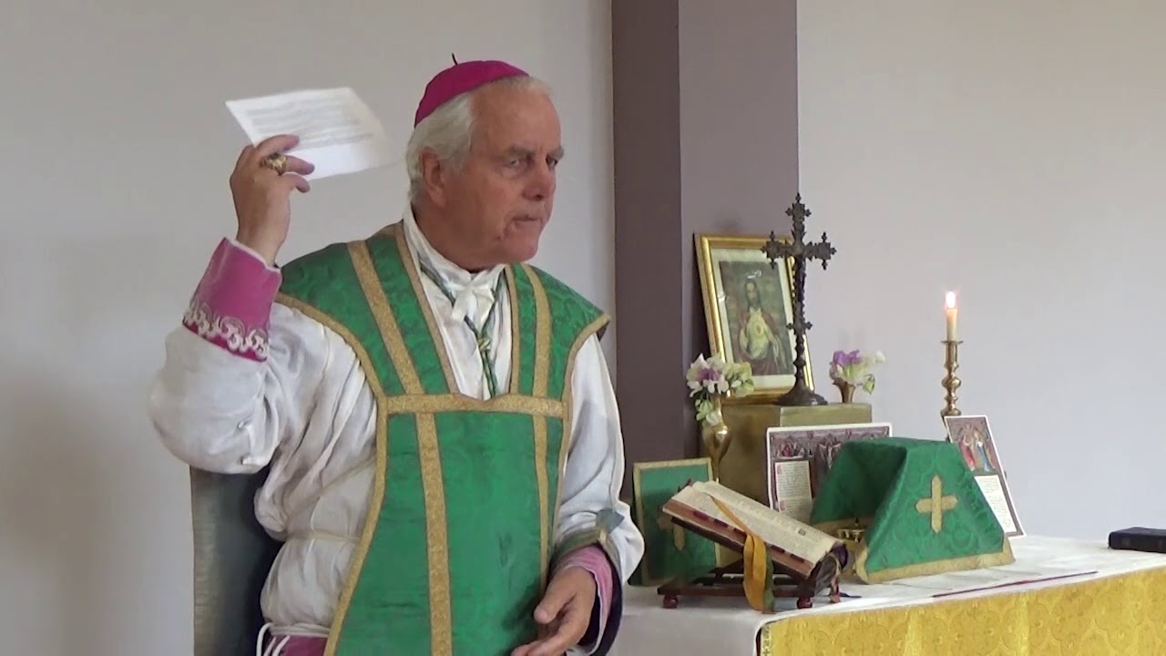 Bishop Richard Williamson - St Pius X / 13th Sunday After Pentecost
