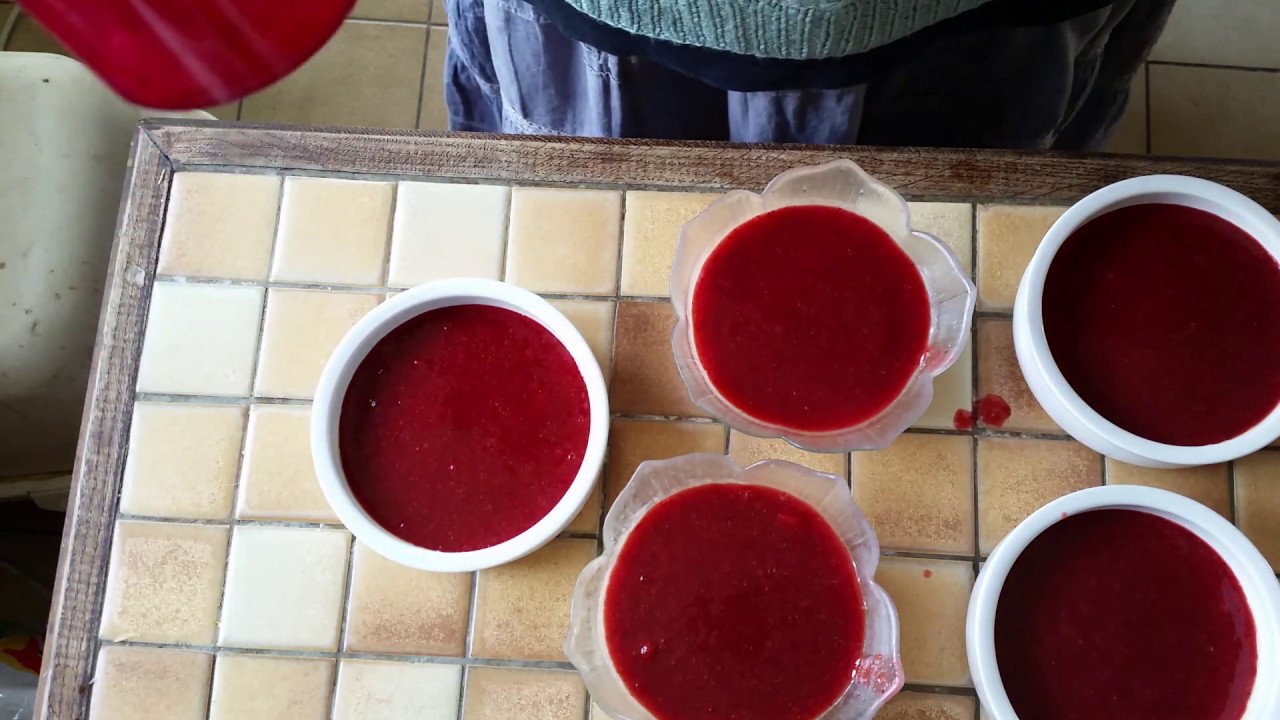 Panna CotTa à la fraise au Compact cook elite pas à pas