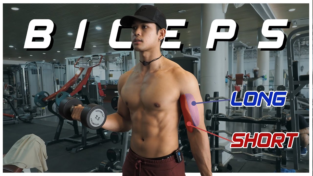 5 ท่าสร้างกล้ามหน้าแขนให้ใหญ่ด้วยดัมเบล