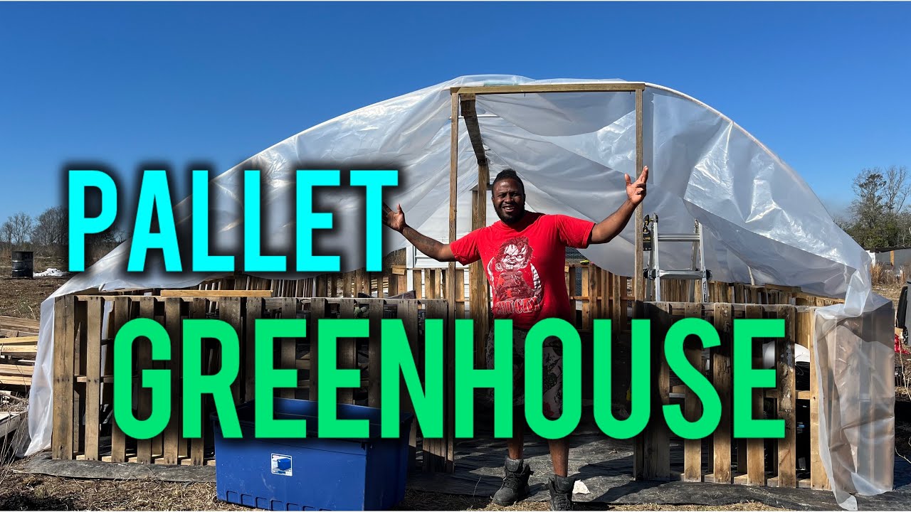 Building a DIY Greenhouse Using Pallets