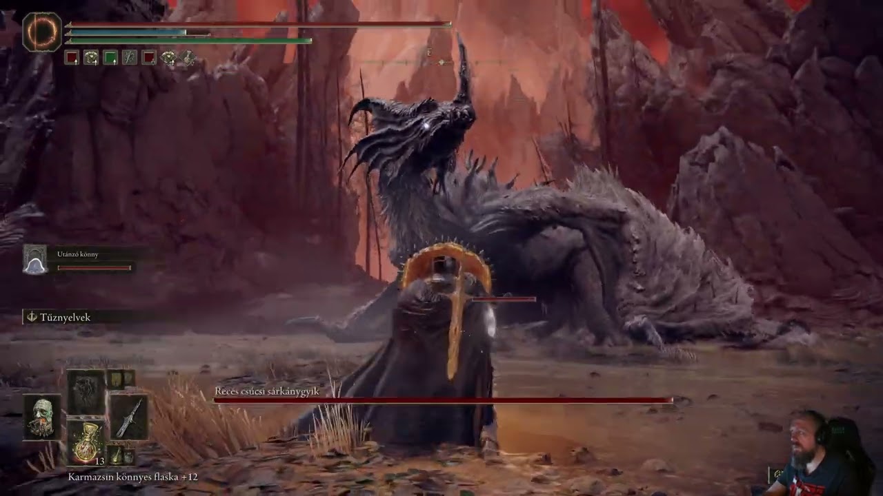 Elden Ring-Shadow of the Erdtree (Boss Fight Dragons) #3