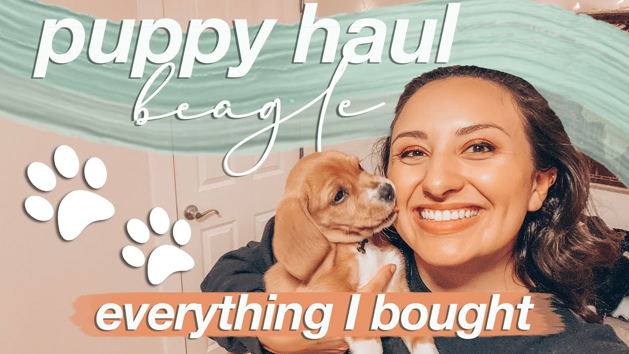 PUPPY HAUL | everything I bought for my new beagle puppy, amazon necessities