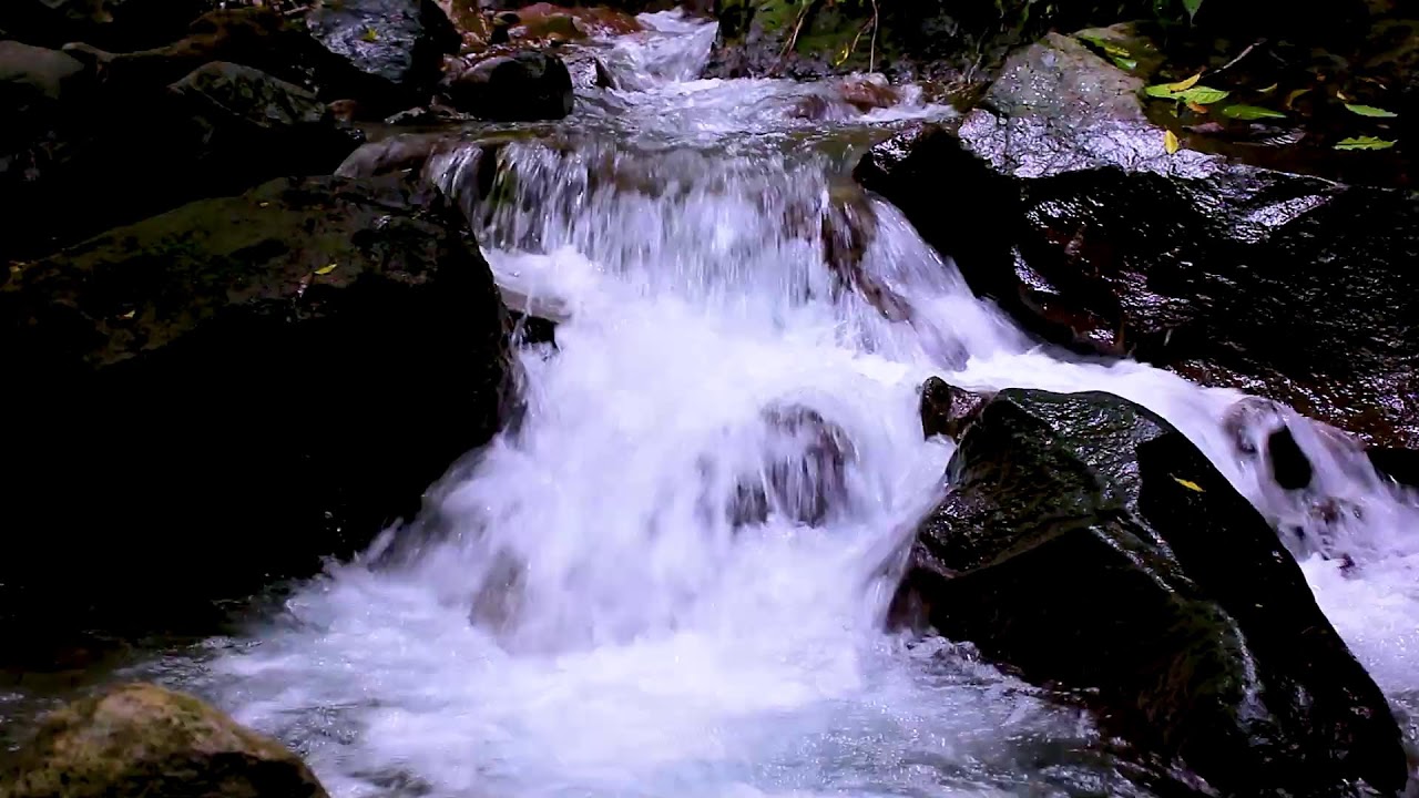 Mountain River Relaxing Stream | Gentle Water Sounds for Stress Relief and Sleep