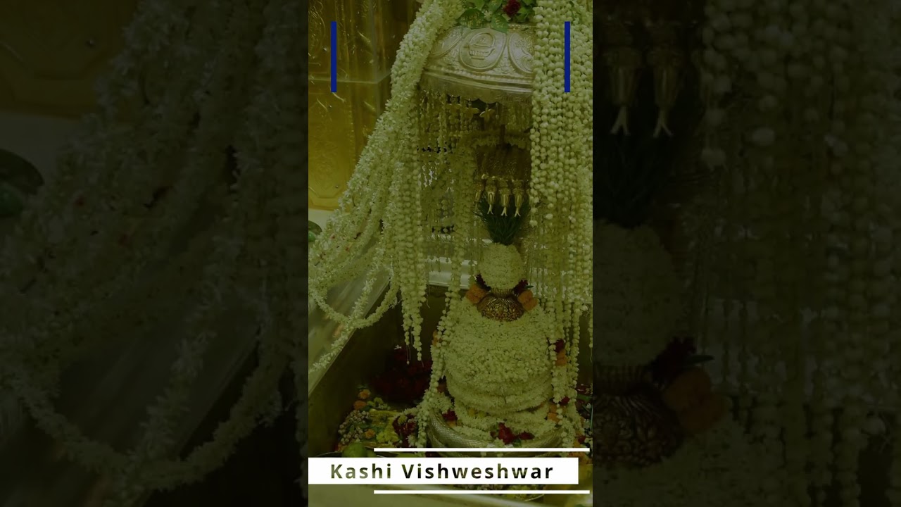 Whatsapp status of Vishwashar | kashi Vishwanath |