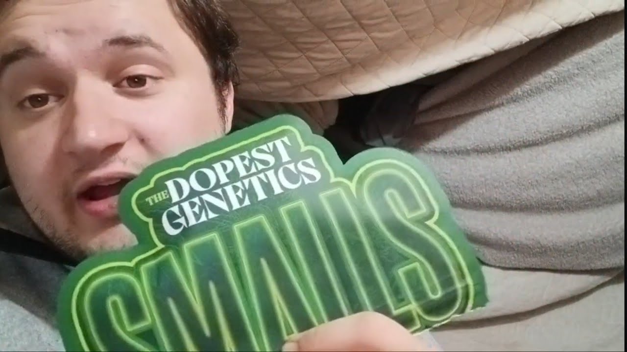 Grape Gas From The Dopest Genetics #DopeAsYola 
