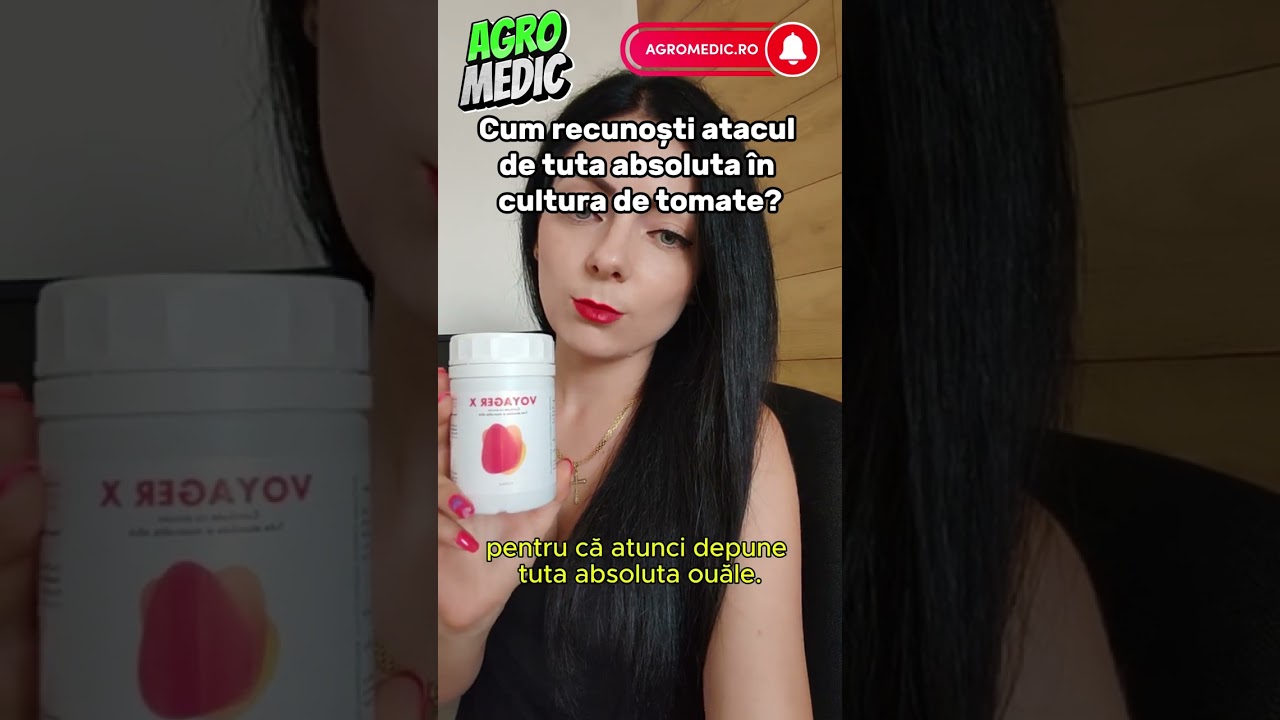 Cum recunoști atacul de tuta absoluta &icirc;n cultura de tomate? Combatere tuta absoluta #agromedicro