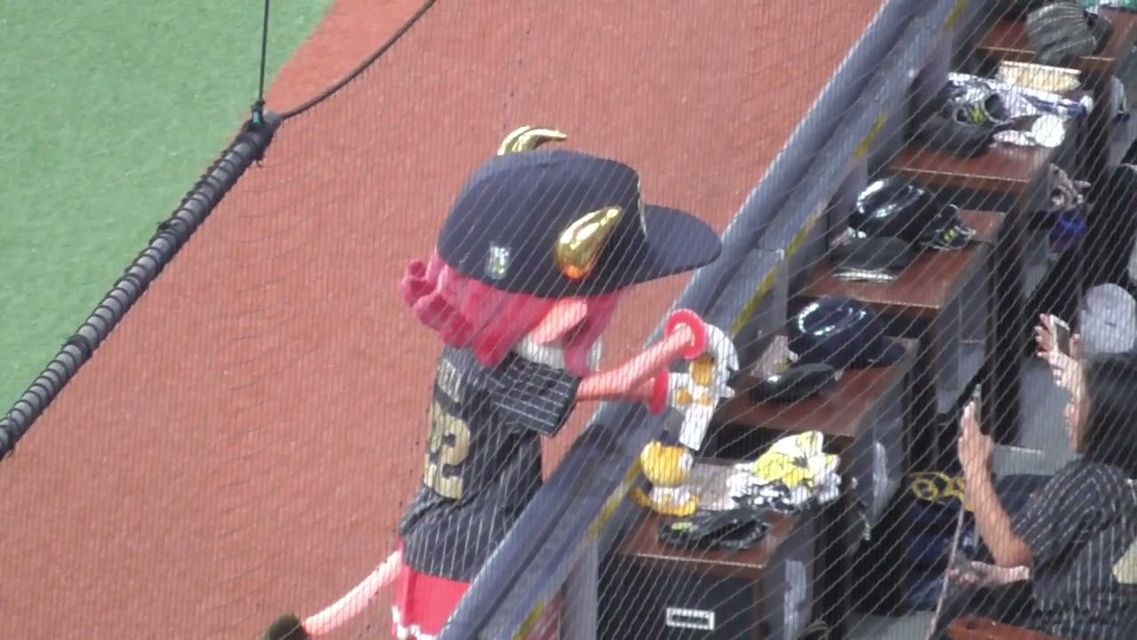 バファローベル　バファローズ☆ポンタ で遊びすぎて全力疾走 そして息切れ　#オリックスバファローズ