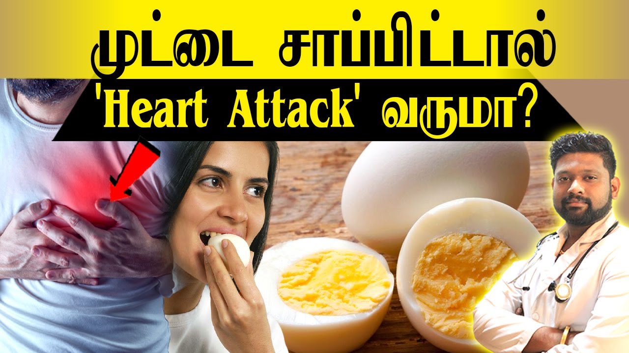 🥚 முட்டை சாப்பிடலாமா? கூடாதா?  | Egg Good or Bad in Tamil | Egg White | Egg Yolk | Dr.Sabarinath