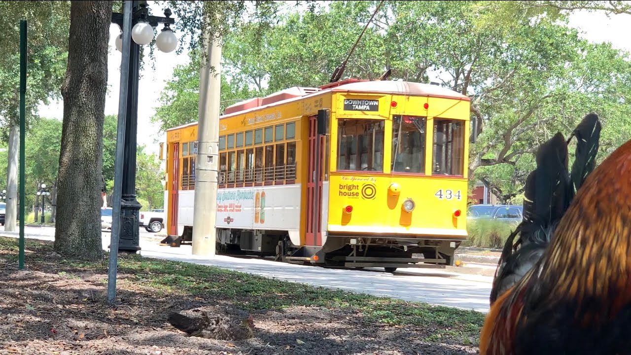 Tampa TECO Streetcar Line full route POV