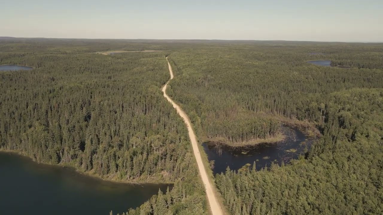 Discover pristine wilderness with 4K nature from the air while moving high above boreal forest