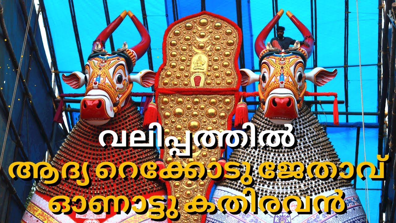 ഏഷ്യയിലെ കെട്ടുകാളകളിൽ വലിപ്പത്തിൽ ആദ്യ റെക്കോടു ജേതാവ് ഓണാട്ടു കതിരവൻ | മത സൗഹാർദ്ദത്തിന്റെ  ഉത്സവം
