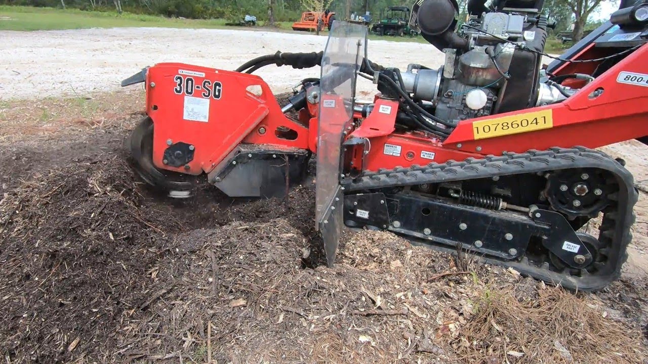 GO STUMP YOURSELF! Grinding Pine Stumps With The Barreto 30SG!