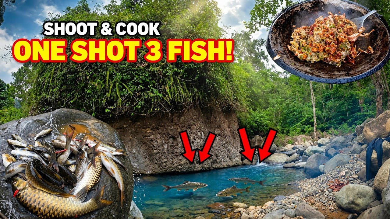 SETELAH BENCANA IKAN MELIMPAH.!! ONE SHOT 3 TAILS