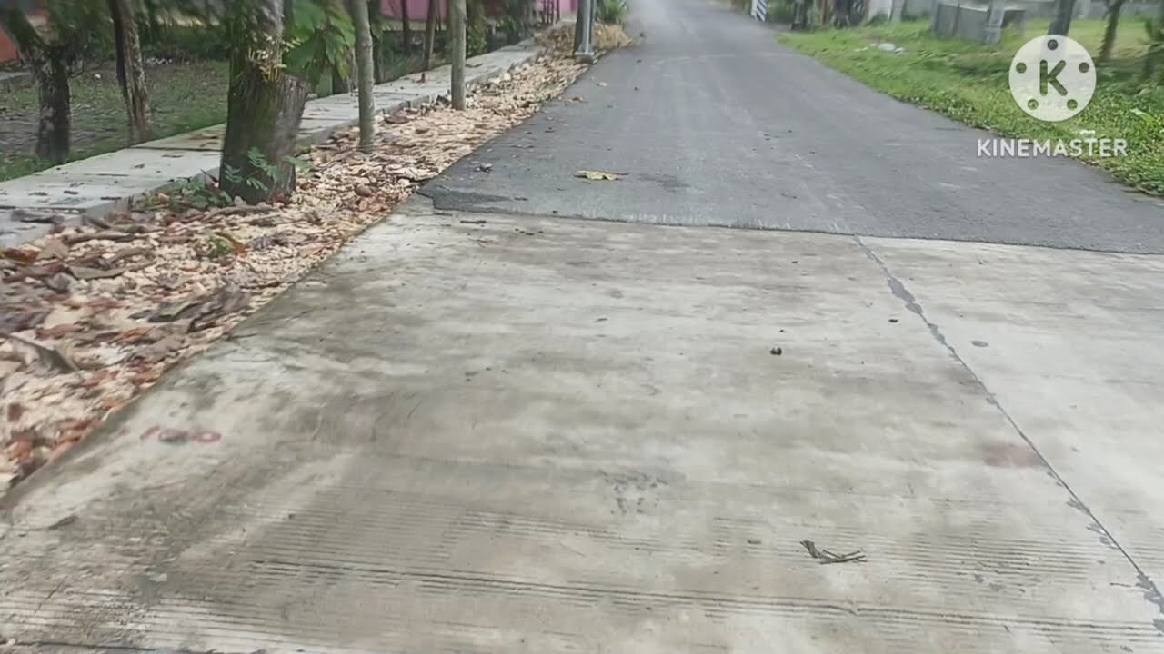 Video vlog desa Dadapan 