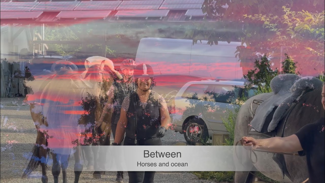 Between horses and ocean - Privatgestüt Möningerberg