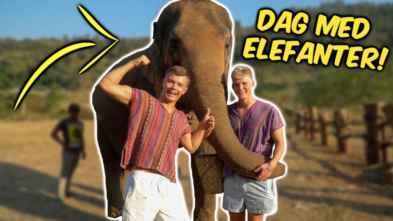 VI FODRER OG BADER MED THAILANDSKE ELEFANTER!