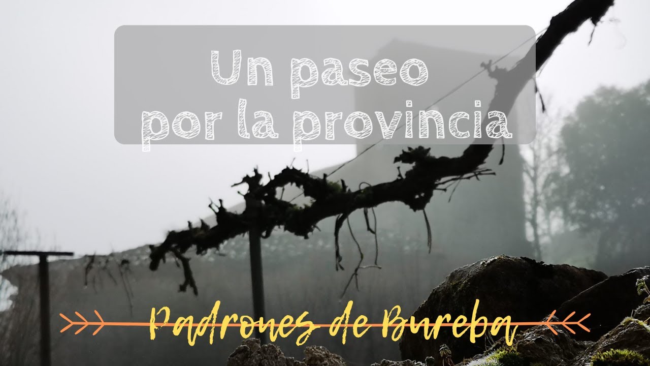 UN PASEO POR LA PROVINCIA | Padrones de Bureba