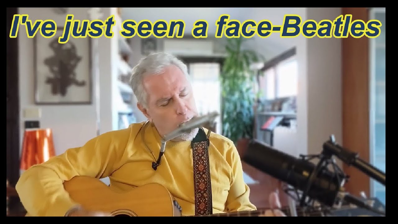 I'VE JUST SEEN A FACE-BEATLES cover by Albius