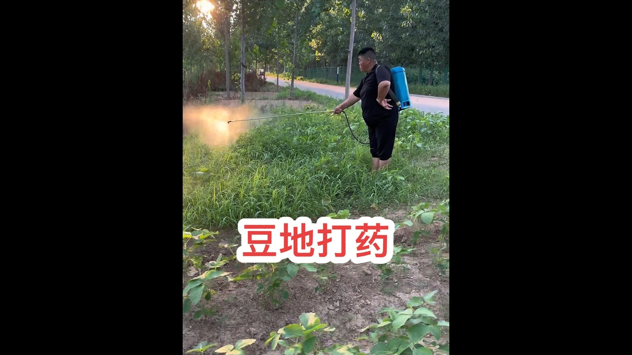 爱都是相互的，你懂我的辛苦，我理解你的难……#创作灵感 #新农人2024 #我的乡村生活 @海娇（金砖哥嫂子小号）