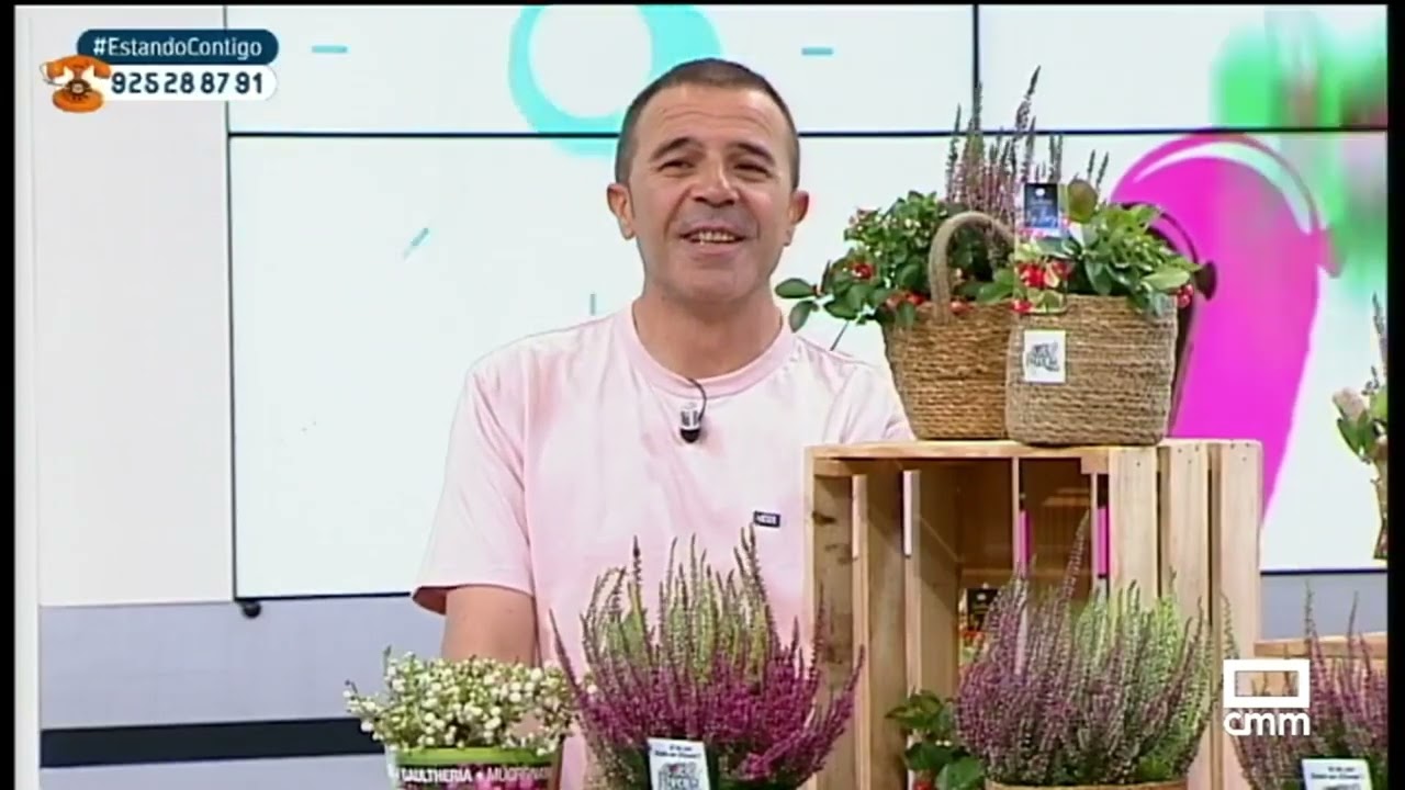 Hablamos sobre la Calluna y la Gaultheria | Estando Contigo