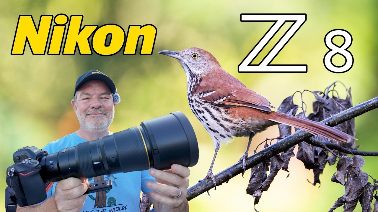 Фотосъемка птиц на Nikon Z8 с объективом 600 6.3 PF VR Prime!