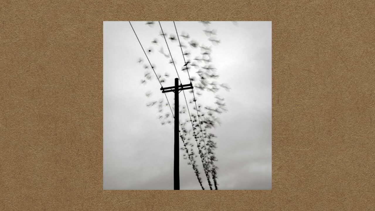 Sakdat & Balaur - Mult Prea Mult