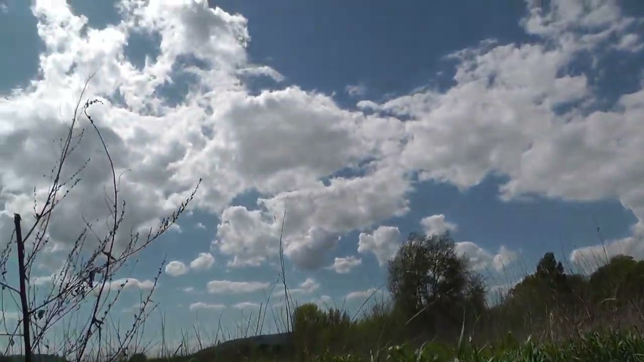 Bis 20 Grad und Sonne: Am Mittwoch kommt der Frühling
