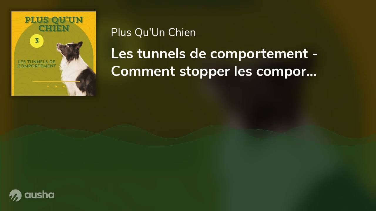 Les tunnels de comportement - Comment stopper les comportements problématiques ?