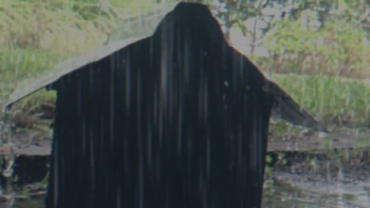 No Ads Rain Sounds for Sleeping | Soothing Rain & Gentle Thunder ASMR for Deep and Restful Sleep