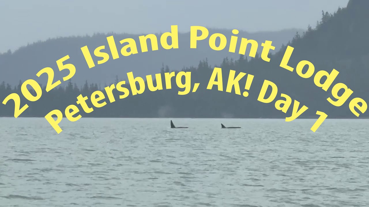 Back To Island Point Lodge- Petersburg AK! This Time With Orcas!