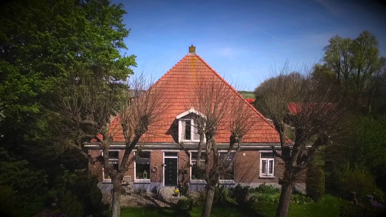 Van der Meer Bontebok